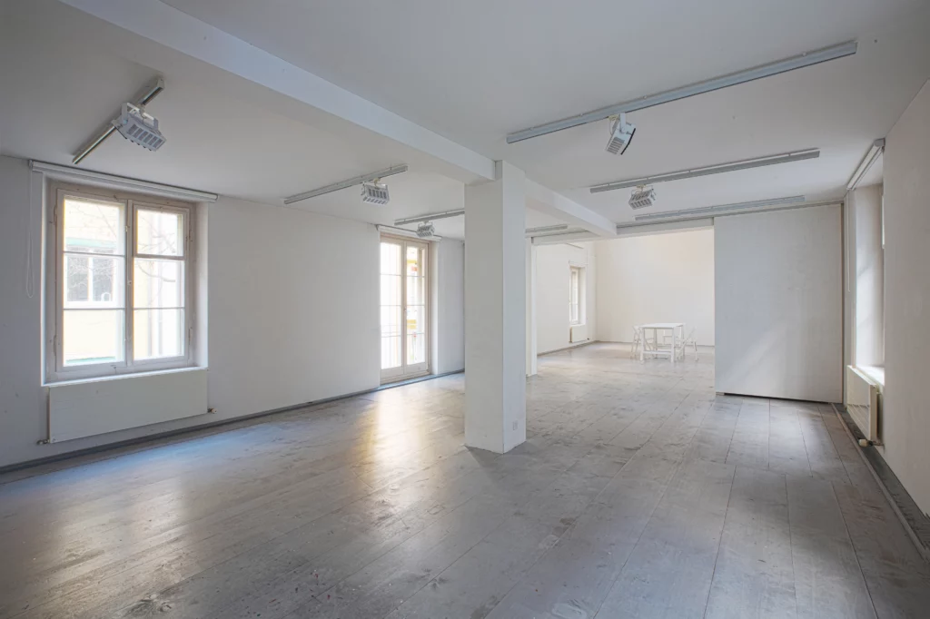 Haus Dubs Stiftung Thomas Dubs