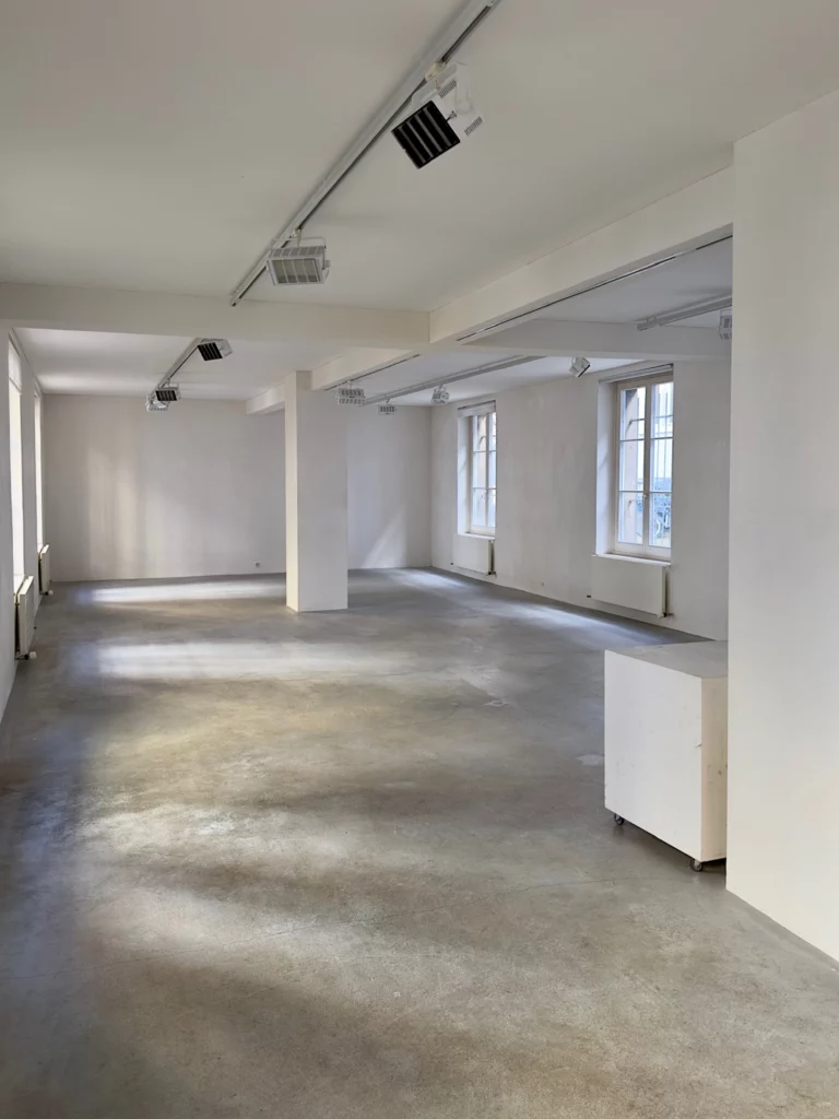 Haus Dubs Stiftung Thomas Dubs