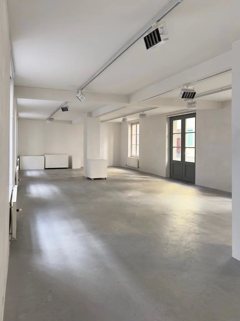 Haus Dubs Stiftung Thomas Dubs